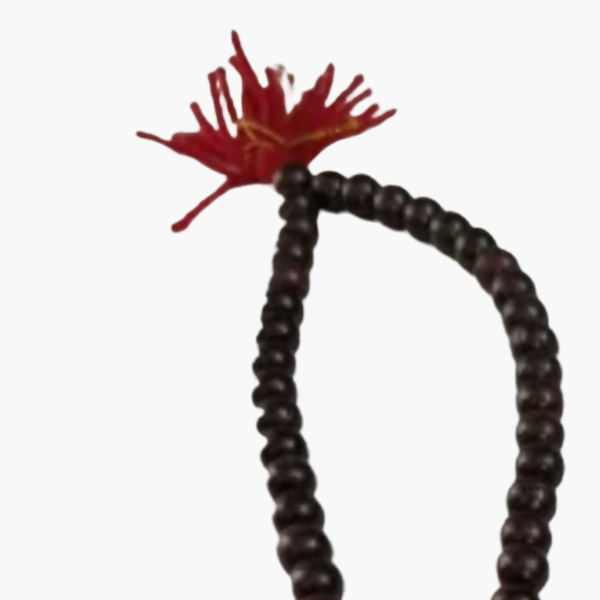 product-details